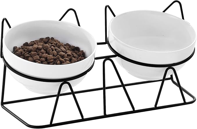 Why Your Cat Pushes Food Out of the Bowl Before Eating It