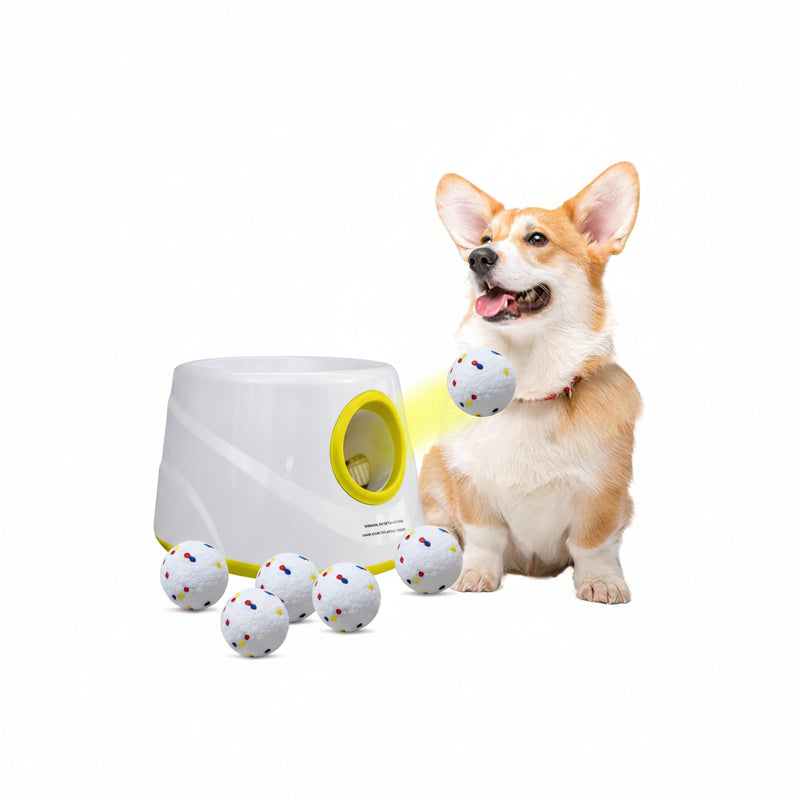 Automatic Dog Ball Launcher with 6 Balls | 15–45ft Fetch Machine