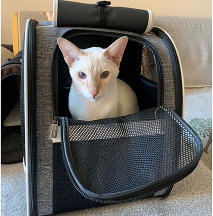 Texsens Bubble Pet Backpack Carrier for Cats & Small Dogs