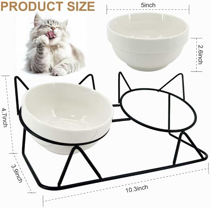 Elevated Ceramic Cat Bowl | 15° Tilted, Whisker Friendly