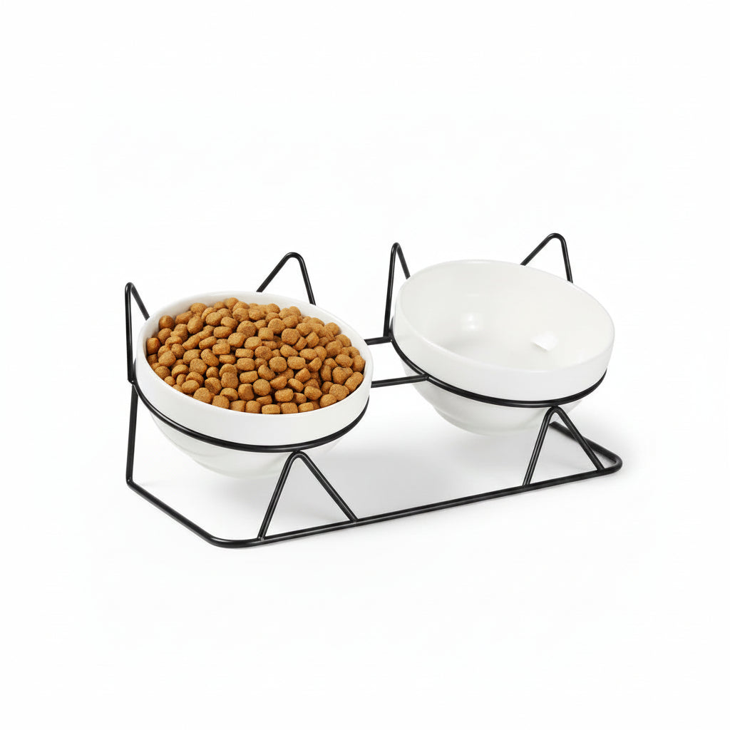 Elevated Ceramic Cat Bowl | 15° Tilted, Whisker Friendly