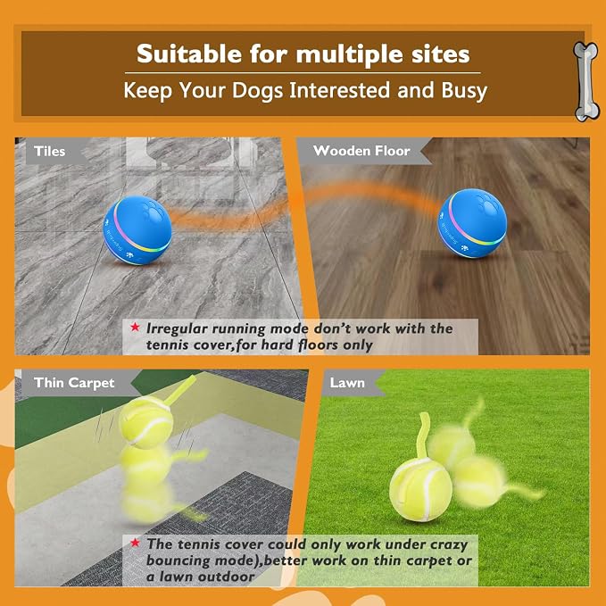PetDroid Motion Activated Dog Ball | Interactive Rolling Toy