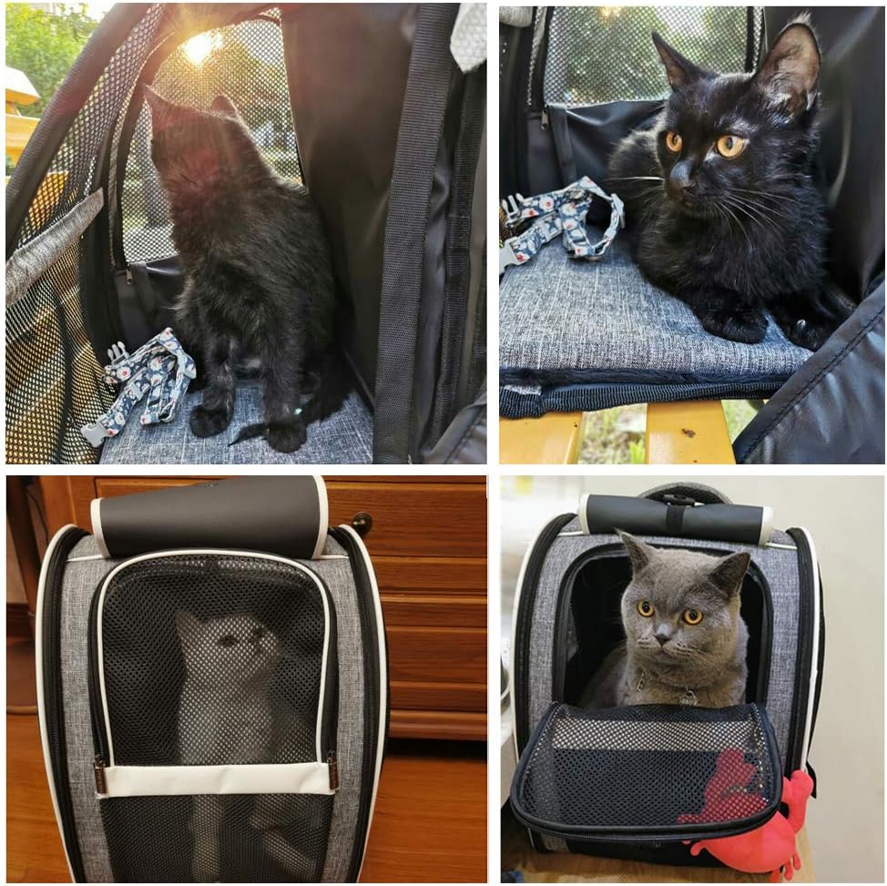 Texsens Bubble Pet Backpack Carrier for Cats & Small Dogs