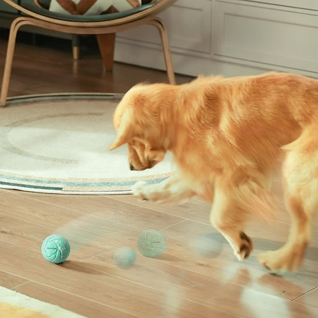 Cheerble Wicked Ball AIR | Smart Interactive Dog Toy, E-TPU