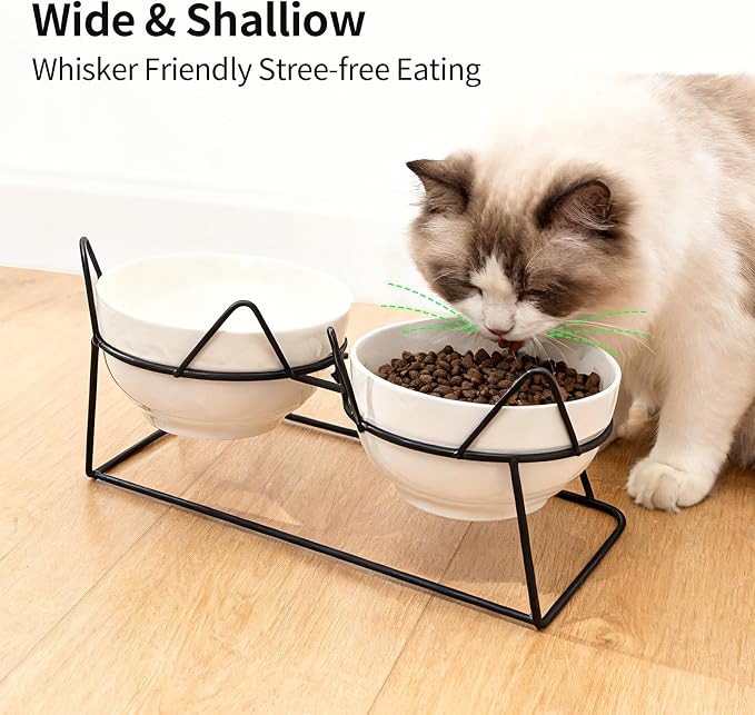 Elevated Ceramic Cat Bowl | 15° Tilted, Whisker Friendly