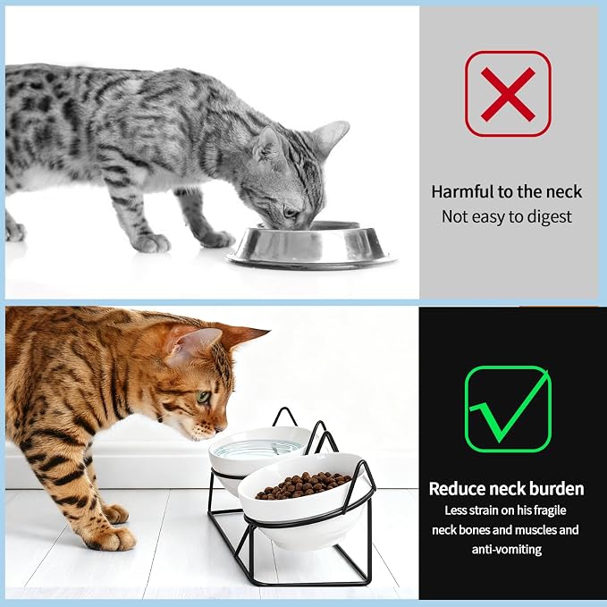 Elevated Ceramic Cat Bowl | 15° Tilted, Whisker Friendly