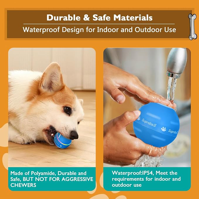 PetDroid Motion Activated Dog Ball | Interactive Rolling Toy