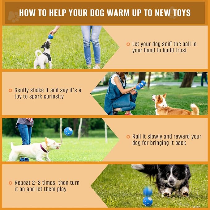 PetDroid Motion Activated Dog Ball | Interactive Rolling Toy