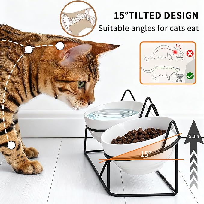 Elevated Ceramic Cat Bowl | 15° Tilted, Whisker Friendly