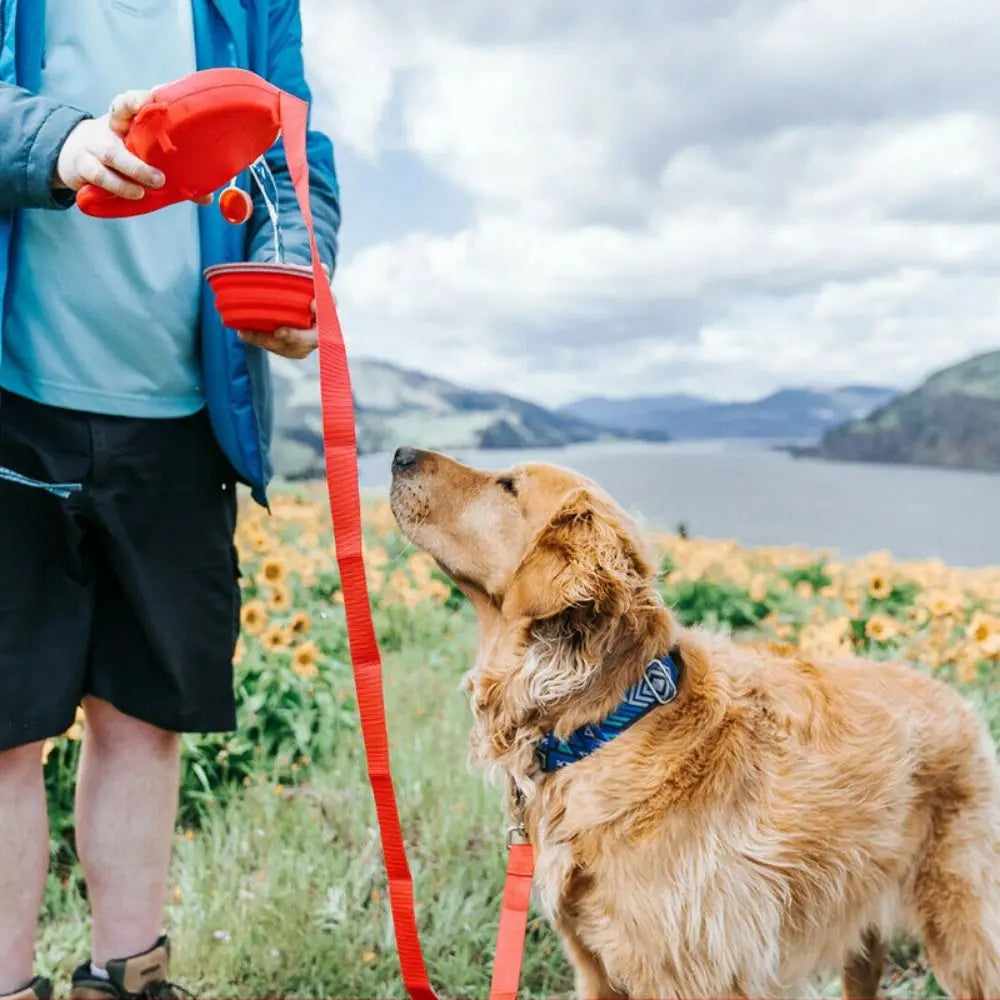 Retractable Dog Leash with Water Bottle, Bowl & Bag Holder
